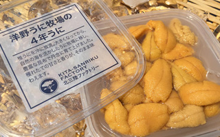 北三陸のウニ